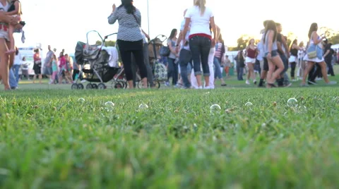 Bubbles on the grass Stock Footage 65074141