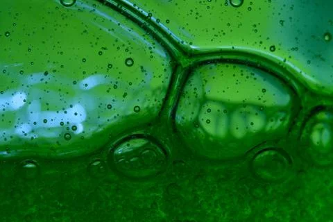 Bubbles on green Stock Photos