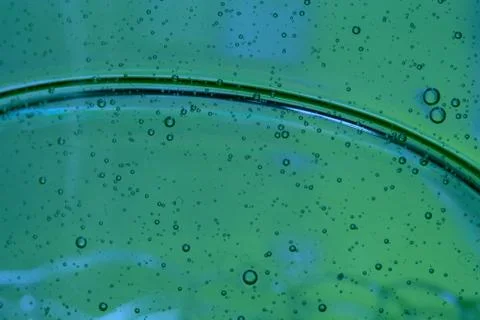 Bubbles on green Stock Photos