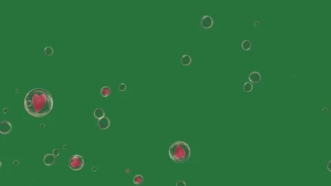 Bubbles on Green screen and with it water red hearts bunch of illustration Stock Footage 336053579