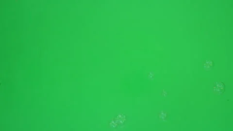 Bubbles on Green Screen B Chroma Key Continuous Sequence Pt4 of 5 Stock Footage 240990298