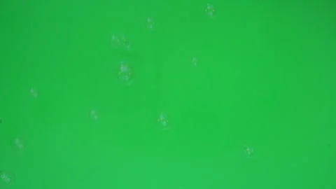 Bubbles on Green Screen Chroma Key Pt7 of 17 Stock Footage 240976620