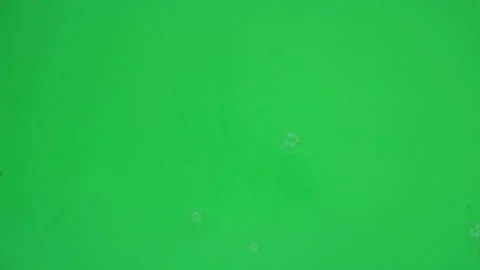 Bubbles on Green Screen Chroma Key Pt12 of 17 Stock Footage 240979289