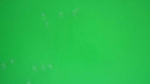 Bubbles on Green Screen Chroma Key Pt8 of 17 Stock Footage 241004574