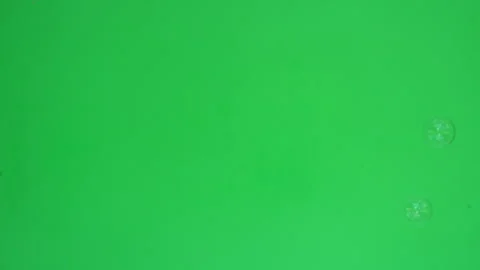Bubbles on Green Screen A Chroma Key Continuous Sequence Pt2 of 2 Stock Footage 241007515