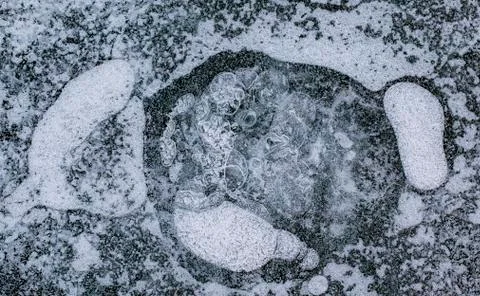 Bubbles in ice Stock Photos