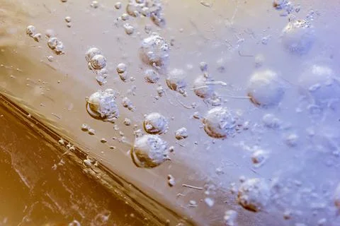 Bubbles in ice Stock Photos