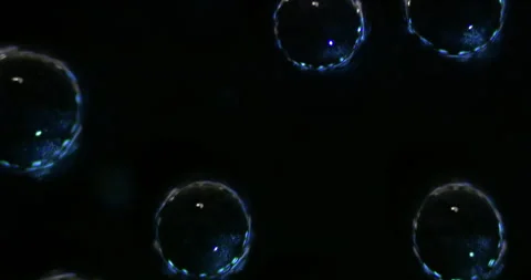 Bubbles illuminated by blue light float elegantly against a black backdrop, Video stock 291715400