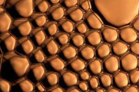 Bubbles Illustrazione stock