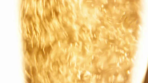 Bubbles inside a glass of champagne Video stock 32701154