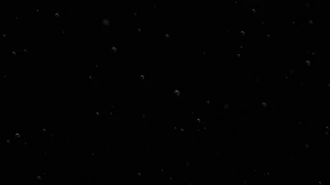 Bubbles inside glass of champagne. Macro of champagne is pouring and foaming. Stock Footage 104653506