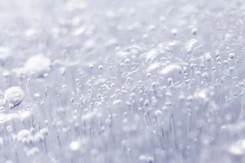 Bubbles inside of ice. macro abstract image Stock Photos