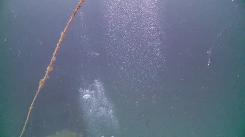 Bubbles j.t Stock-Footage 12560361