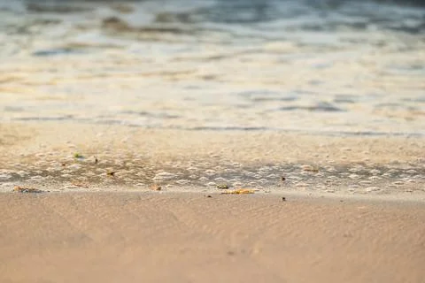 Bubbles left behind on the Beach 스톡 사진