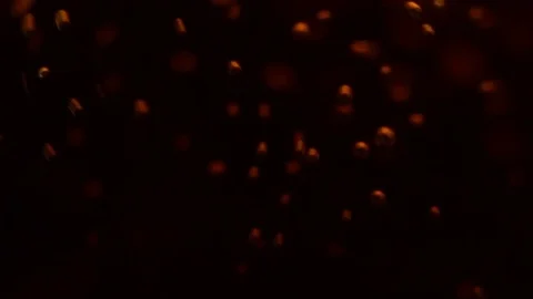 Bubbles of lemonade close-up in a glass. Stock Footage 77553883