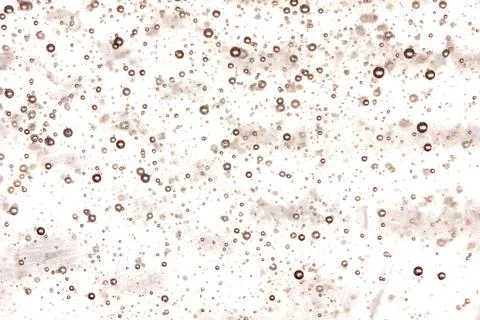 Bubbles in liquid abstract background Stock Photos