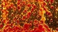 Bubbles In Liquid Colorful Abstract Stock Footage