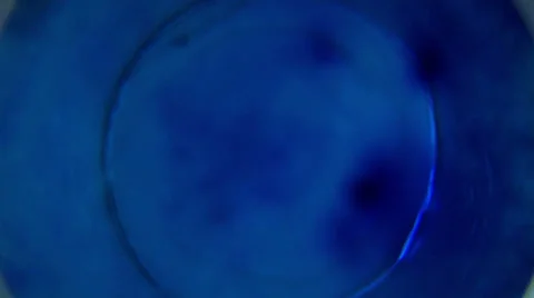 Bubbles in the liquid Stock-Footage 22663826