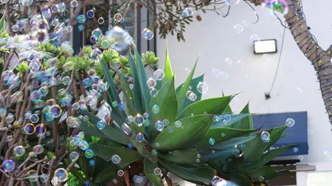 Bubbles Making Machine Stock-Footage 304898281