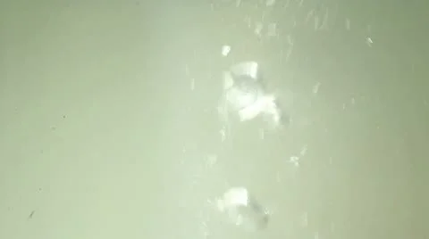 Bubbles One Stock Footage