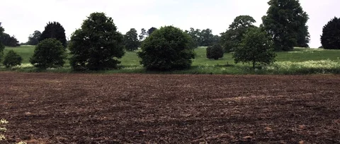 Bubbles over a field 库存影片 91373212