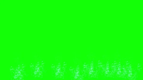 Bubbles overlay motion graphics with green screen background Stock Footage 124185722