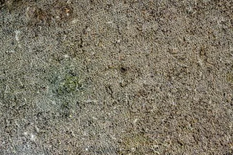 Bubbles Stock Photos