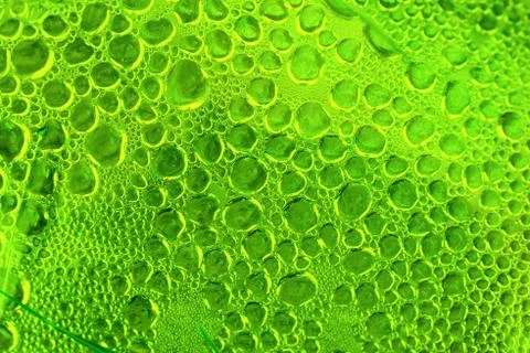 Bubbles Stock Photos