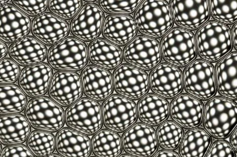 Bubbles Stock Photos