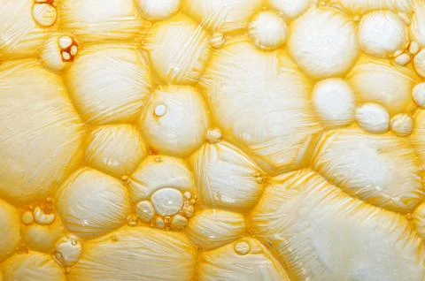 Bubbles Stock Photos