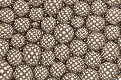 Bubbles Stock Photos