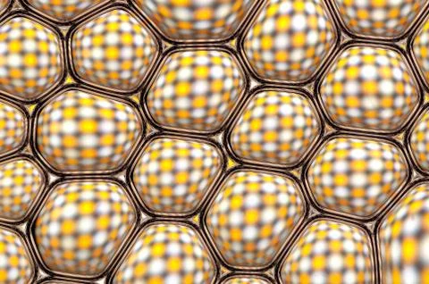 Bubbles 스톡 사진