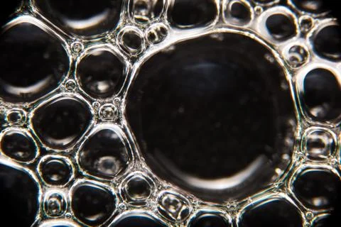 Bubbles Stock Photos