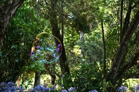 Bubbles 스톡 사진