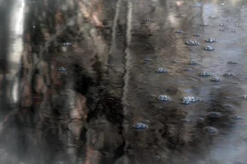 Bubbles on a pond Stock Photos