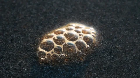 Bubbles pop on the beach Stock Footage 123394687