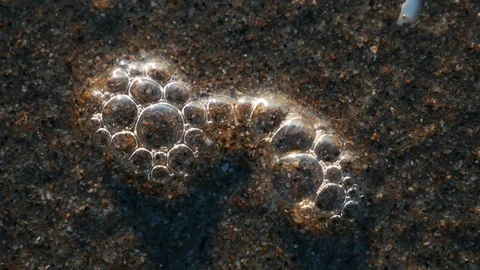 Bubbles pop on the beach Stock Footage 123394772