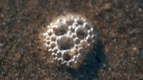 Bubbles pop on the beach Stock Footage 123394789