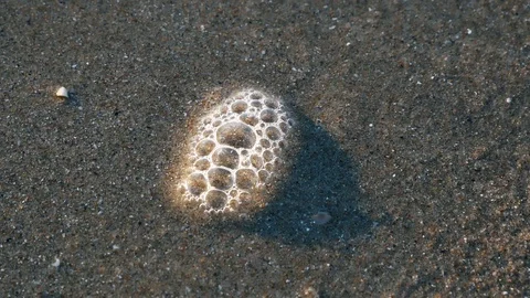 Bubbles pop on the beach Stock Footage 123394814