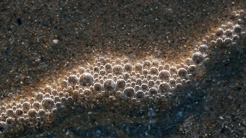 Bubbles pop on the beach Stock Footage 123394822