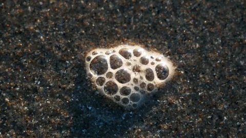Bubbles pop on the beach Stock Footage 123394841