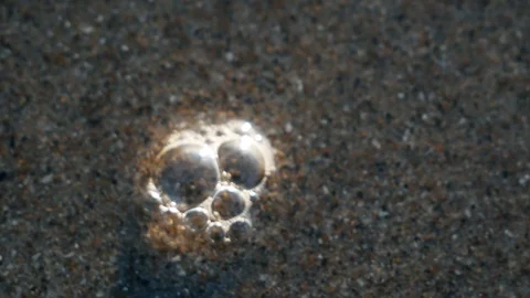 Bubbles pop on the beach Stock Footage 123394896