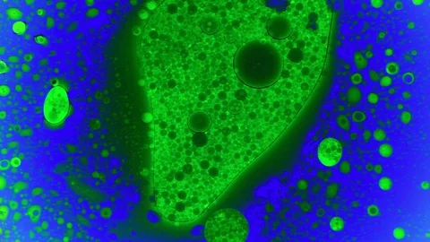 Bubbles poppin in a green dye surrounded by blue dye abstract liquid art Stock Footage 124421861