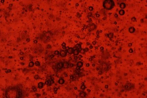 Bubbles on red background Stock Photos