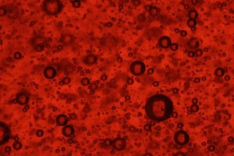 Bubbles on red background Stock Photos