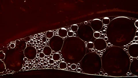 Bubbles in red liquid Video stock 105615334