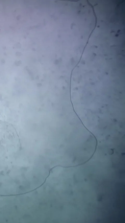 Bubbles rise and dance beneath the icy surface of the Arctic waters Stock Footage 320009225