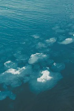 Bubbles rise to the surface in clear water during a sunny day near a lakesh.. Stock Photos