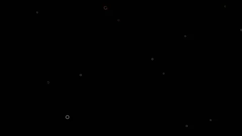 Bubbles rise upwards on a black background Stock Footage 86166920