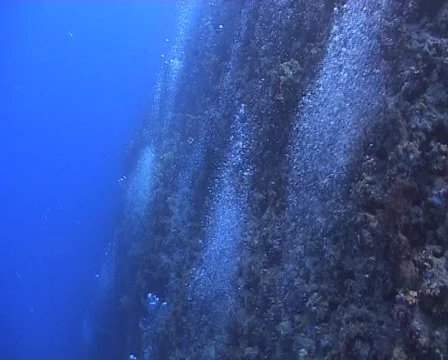 Bubbles rising up coral reef Video stock 574204